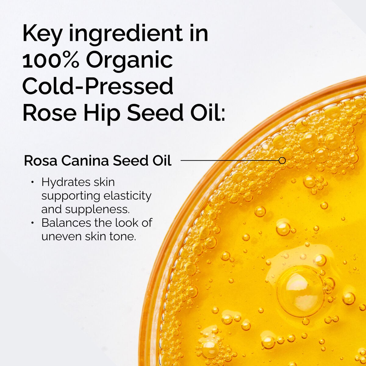 100-organic-cold-pressed-rose-hip-seed-oil-g5 FY25-D41247-ORD-Web-PDP-100-Rose-Hip-Oil-1x1-EN-2.jpg