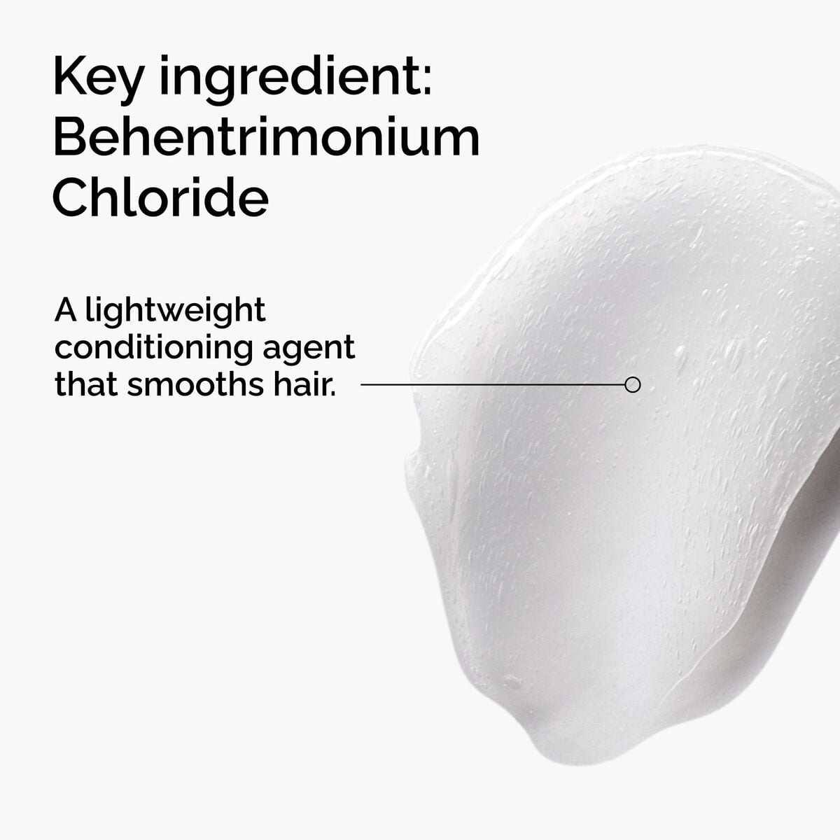 behentrimonium-chloride-2-conditioner-s9 FY25-D41247-ORD-Web-PDP-BTC-1x1-EN-2a.jpg