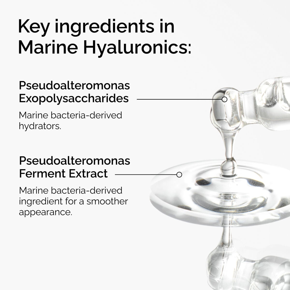 marine-hyaluronics-c8 FY25-D41247-ORD-Web-PDP-Marine-Hya-1x1-EN-2a.jpg