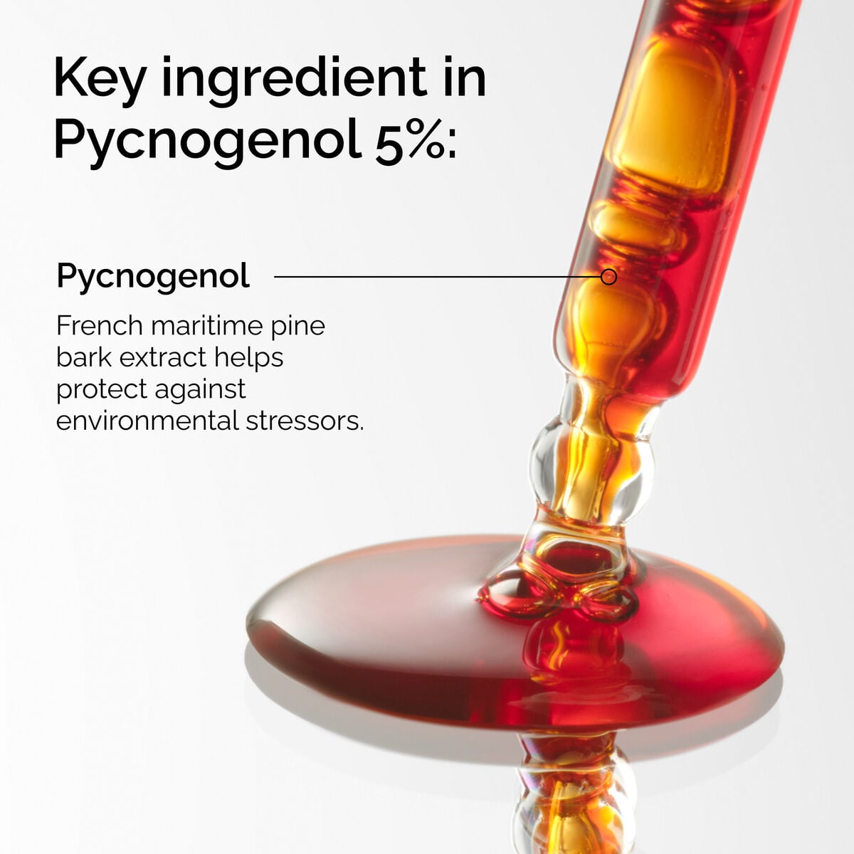 pycnogenol-5-w7 FY25-D41247-ORD-Web-PDP-Pyc-5pct-1x1-EN-2a.jpg