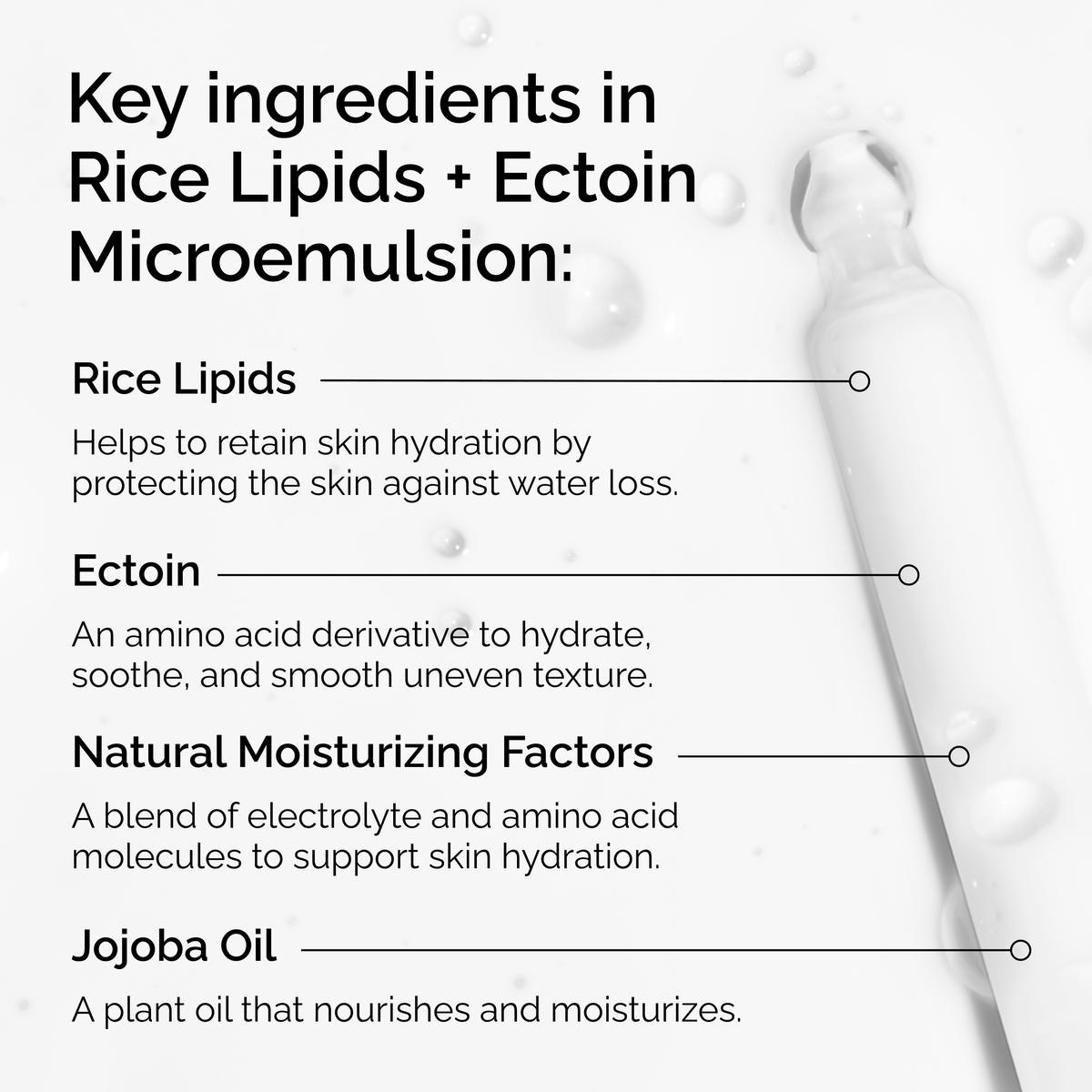 rice-lipids-ectoin-microemulsion-d7 ord-rice-lipids-ectoin-microemulsion-key-ingredients.png