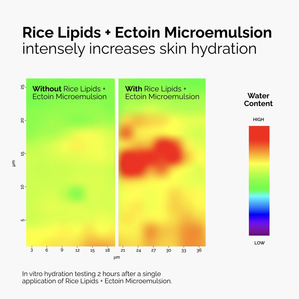 rice-lipids-ectoin-microemulsion-d7 ord-rice-lipids-ectoin-microemulsion-thermal-before-after.jpg